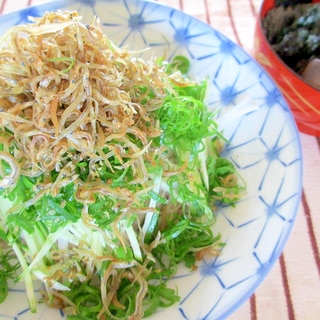 カリカリじゃことネギの海苔そば